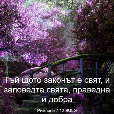 Picture 03 - Римляни 7:12 BULG - Тъй щото законът е свят, и - Bible Verse Picture