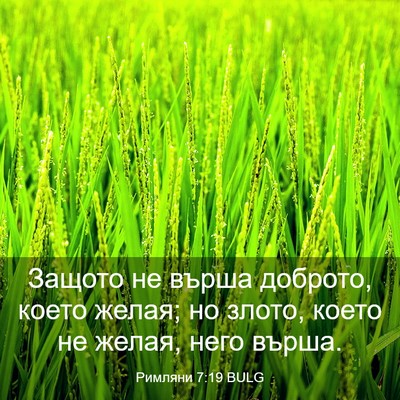 Picture 03 - Римляни 7:19 BULG - Защото не върша доброто, - Bible Verse Picture
