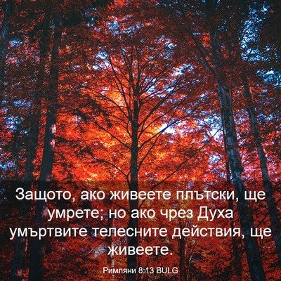 Picture 03 - Римляни 8:13 BULG - Защото, ако живеете - Bible Verse Picture