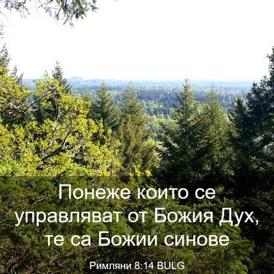 Picture 03 - Римляни 8:14 BULG - Понеже които се управляват - Bible Verse Picture