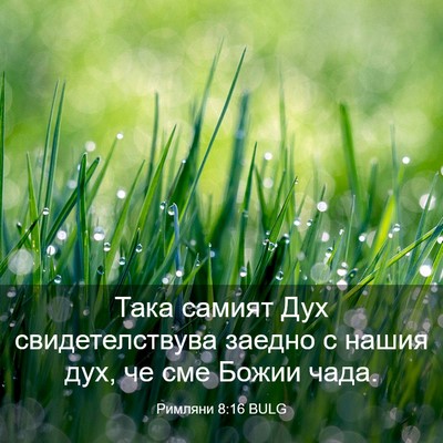 Picture 03 - Римляни 8:16 BULG - Така самият Дух - Bible Verse Picture