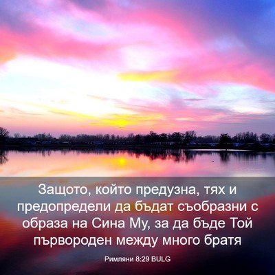 Picture 03 - Римляни 8:29 BULG - Защото, който предузна, тях - Bible Verse Picture