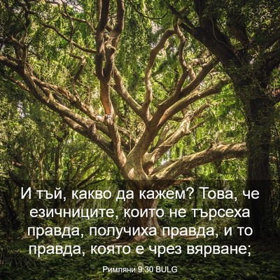 Picture 03 - Римляни 9:30 BULG - И тъй, какво да кажем? Това, - Bible Verse Picture