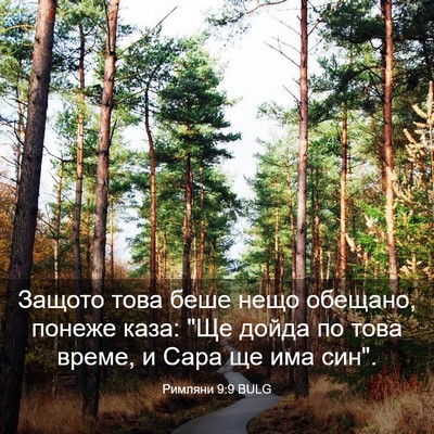 Picture 03 - Римляни 9:9 BULG - Защото това беше нещо - Bible Verse Picture