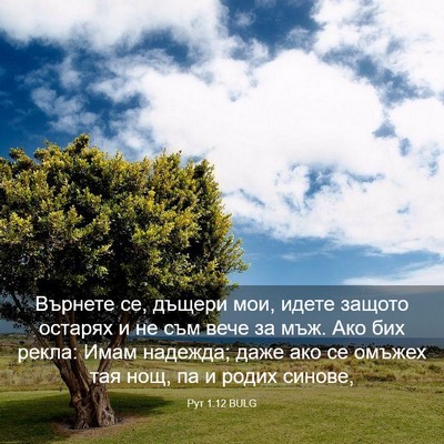 Picture 03 - Рут 1:12 BULG - Върнете се, дъщери мои, - Bible Verse Picture