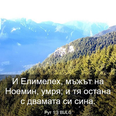 Picture 03 - Рут 1:3 BULG - И Елимелех, мъжът на - Bible Verse Picture