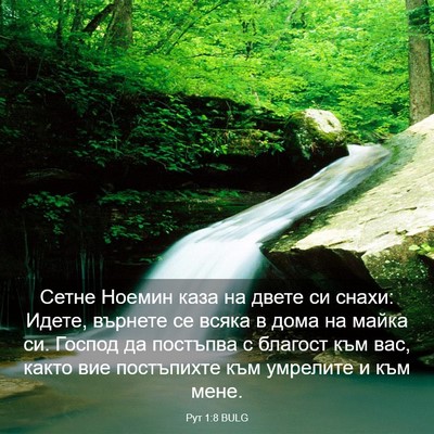 Picture 03 - Рут 1:8 BULG - Сетне Ноемин каза на двете - Bible Verse Picture