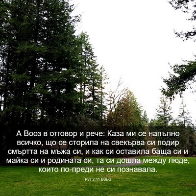 Picture 03 - Рут 2:11 BULG - А Вооз в отговор и рече: - Bible Verse Picture
