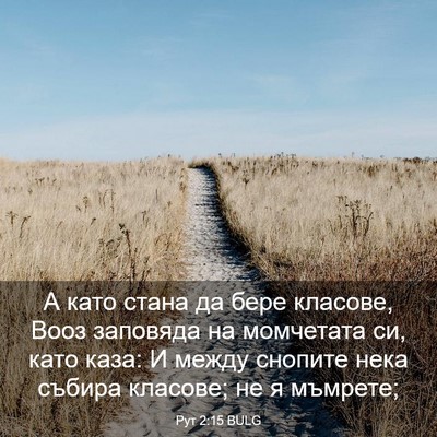 Picture 03 - Рут 2:15 BULG - А като стана да бере - Bible Verse Picture