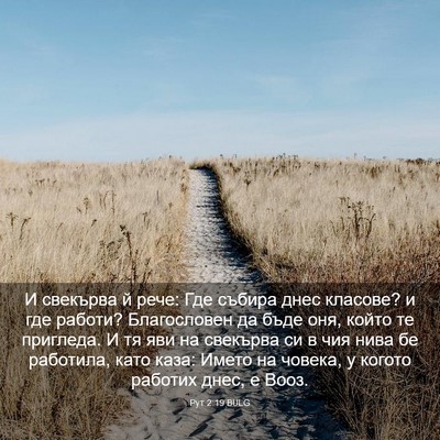 Picture 03 - Рут 2:19 BULG - И свекърва й рече: Где - Bible Verse Picture