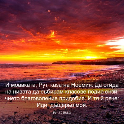 Picture 03 - Рут 2:2 BULG - И моавката, Рут, каза на - Bible Verse Picture