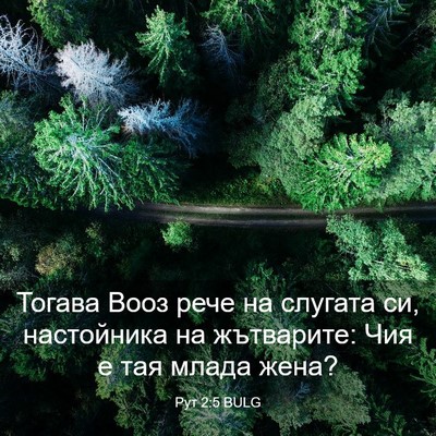 Picture 03 - Рут 2:5 BULG - Тогава Вооз рече на - Bible Verse Picture