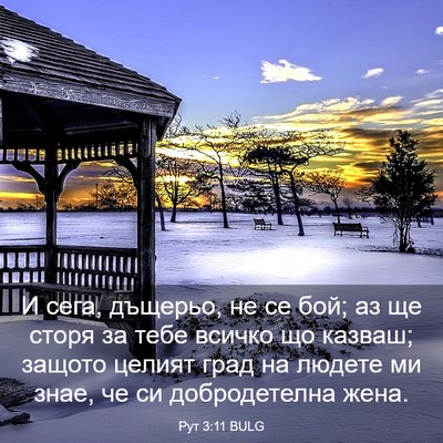 Picture 03 - Рут 3:11 BULG - И сега, дъщерьо, не се бой; - Bible Verse Picture