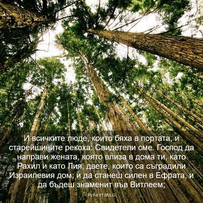 Picture 03 - Рут 4:11 BULG - И всичките люде, които бяха - Bible Verse Picture