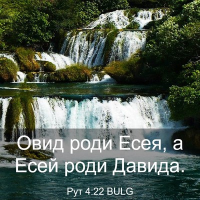 Picture 03 - Рут 4:22 BULG - Овид роди Есея, а Есей роди - Bible Verse Picture