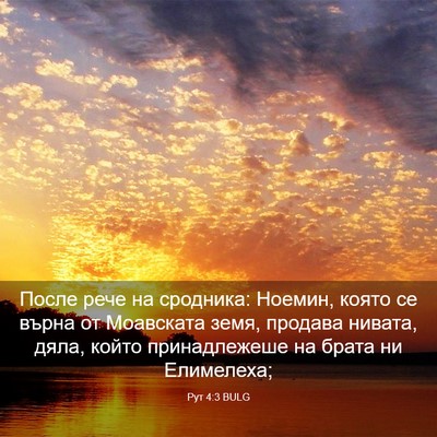 Picture 03 - Рут 4:3 BULG - После рече на сродника: - Bible Verse Picture