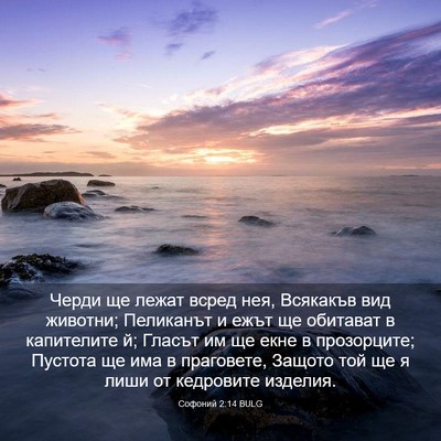 Picture 03 - Софоний 2:14 BULG - Черди ще лежат всред нея, - Bible Verse Picture