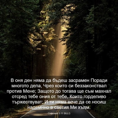 Picture 03 - Софоний 3:11 BULG - В оня ден няма да бъдеш - Bible Verse Picture