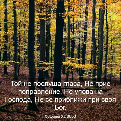 Picture 03 - Софоний 3:2 BULG - Той не послуша гласа, Не - Bible Verse Picture