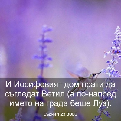 Picture 03 - Съдии 1:23 BULG - И Иосифовият дом прати да - Bible Verse Picture