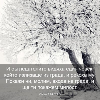 Picture 03 - Съдии 1:24 BULG - И съгледателите видяха - Bible Verse Picture