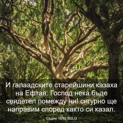 Picture 03 - Съдии 11:10 BULG - И галаадските старейшини - Bible Verse Picture