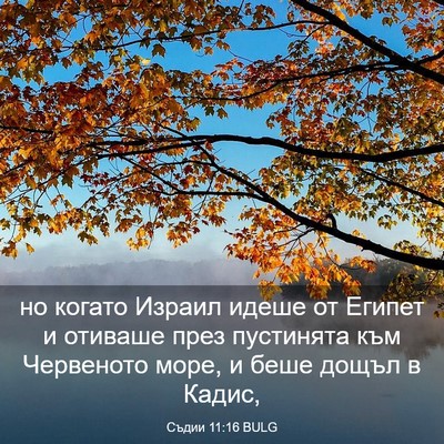 Picture 03 - Съдии 11:16 BULG - но когато Израил идеше от - Bible Verse Picture