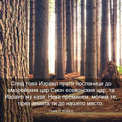 Picture 03 - Съдии 11:19 BULG - След това Израил прати - Bible Verse Picture