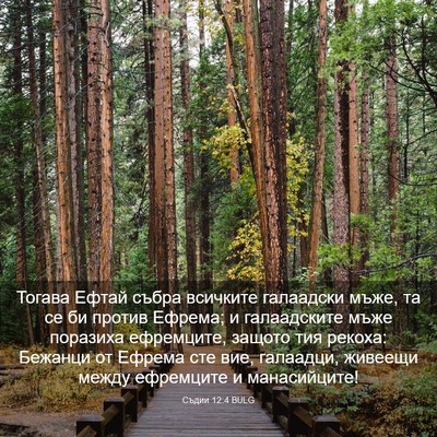 Picture 03 - Съдии 12:4 BULG - Тогава Ефтай събра - Bible Verse Picture