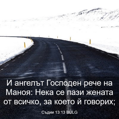 Picture 03 - Съдии 13:13 BULG - И ангелът Господен рече на - Bible Verse Picture