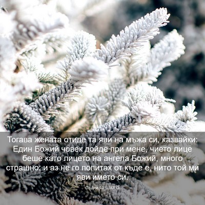 Picture 03 - Съдии 13:6 BULG - Тогава жената отиде та яви - Bible Verse Picture