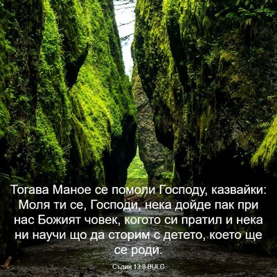 Picture 03 - Съдии 13:8 BULG - Тогава Маное се помоли - Bible Verse Picture