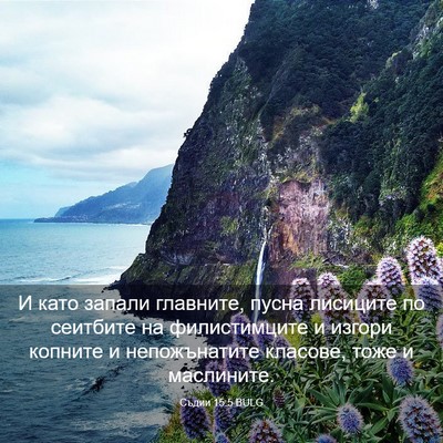 Picture 03 - Съдии 15:5 BULG - И като запали главните, - Bible Verse Picture