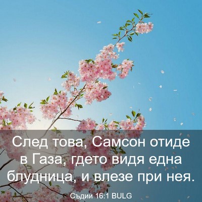 Picture 03 - Съдии 16:1 BULG - След това, Самсон отиде в - Bible Verse Picture