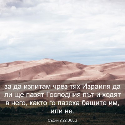 Picture 03 - Съдии 2:22 BULG - за да изпитам чрез тях - Bible Verse Picture