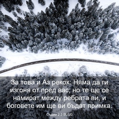Picture 03 - Съдии 2:3 BULG - За това и Аз рекох: Няма да - Bible Verse Picture