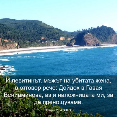 Picture 03 - Съдии 20:4 BULG - И левитинът, мъжът на - Bible Verse Picture