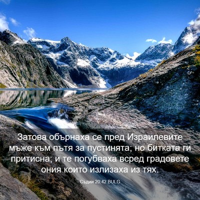 Picture 03 - Съдии 20:42 BULG - Затова обърнаха се пред - Bible Verse Picture