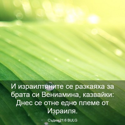 Picture 03 - Съдии 21:6 BULG - И израилтяните се разкаяха - Bible Verse Picture