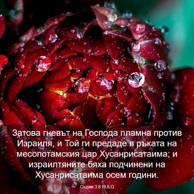 Picture 03 - Съдии 3:8 BULG - Затова гневът на Господа - Bible Verse Picture