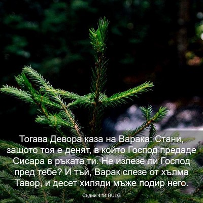 Picture 03 - Съдии 4:14 BULG - Тогава Девора каза на - Bible Verse Picture