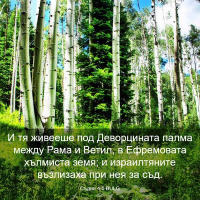 Picture 03 - Съдии 4:5 BULG - И тя живееше под - Bible Verse Picture