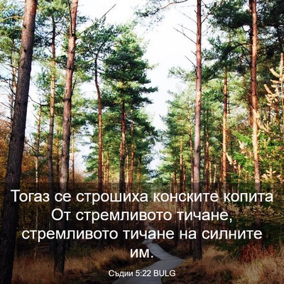 Picture 03 - Съдии 5:22 BULG - Тогаз се строшиха конските - Bible Verse Picture