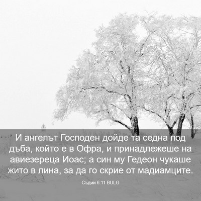 Picture 03 - Съдии 6:11 BULG - И ангелът Господен дойде - Bible Verse Picture