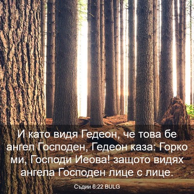 Picture 03 - Съдии 6:22 BULG - И като видя Гедеон, че това - Bible Verse Picture
