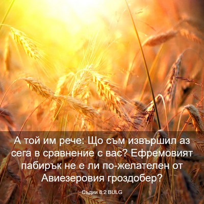 Picture 03 - Съдии 8:2 BULG - А той им рече: Що съм - Bible Verse Picture