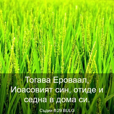 Picture 03 - Съдии 8:29 BULG - Тогава Ероваал, Иоасовият - Bible Verse Picture