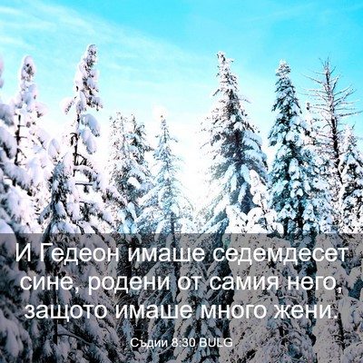 Picture 03 - Съдии 8:30 BULG - И Гедеон имаше седемдесет - Bible Verse Picture