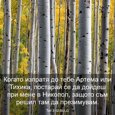 Picture 03 - Тит 3:12 BULG - Когато изпратя до тебе - Bible Verse Picture