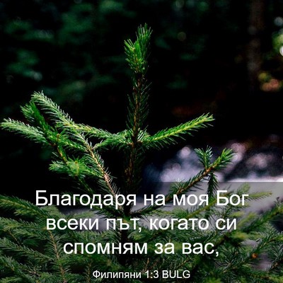 Picture 03 - Филипяни 1:3 BULG - Благодаря на моя Бог всеки - Bible Verse Picture